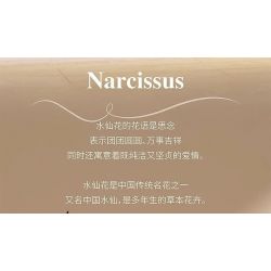 QIZHILE 92038 non  HOA THUỶ TIÊN VÀNG bộ đồ chơi xếp lắp ráp ghép mô hình Flowers NARCISSUS 800 khối