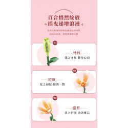 JAKI JK26953 26953 non  NHẬT KÝ THỰC VẬT MỘT NGHĨ LÀM SAY MÊ THÀNH PHỐ bộ đồ chơi xếp lắp ráp ghép mô hình Creator ETERNAL REMINISCENCE Sáng Tạo 1314 khối