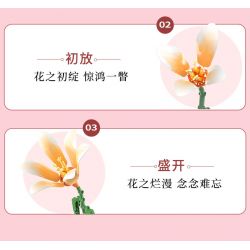 JAKI JK26953 26953 non  NHẬT KÝ THỰC VẬT MỘT NGHĨ LÀM SAY MÊ THÀNH PHỐ bộ đồ chơi xếp lắp ráp ghép mô hình Creator ETERNAL REMINISCENCE Sáng Tạo 1314 khối