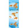Kazi KY80045 80045 non  SEA WORLD 6 MÔ HÌNH CÁ MẬP ĐẦU BÚA CUA HOÀNG ĐẾ BẠCH TUỘC KHỔNG LỒ TÔM BỌ NGỰA ĐUÔI CHIM ĐỎ MEXICO ẨN SĨ bộ đồ chơi xếp lắp ráp ghép mô hình Creator OCEAN Sáng Tạo 1041 khối