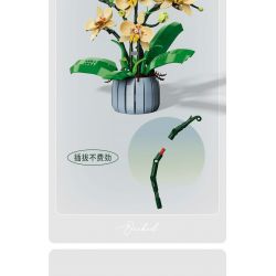 TOP TOY TC1101 1101 non  PHONG LAN TAO NHÃ tỷ lệ 1:1 bộ đồ chơi xếp lắp ráp ghép mô hình Creator Sáng Tạo