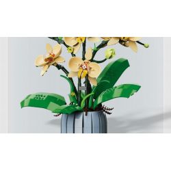 TOP TOY TC1101 1101 non  PHONG LAN TAO NHÃ tỷ lệ 1:1 bộ đồ chơi xếp lắp ráp ghép mô hình Creator Sáng Tạo