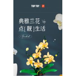 TOP TOY TC1101 1101 non  PHONG LAN TAO NHÃ tỷ lệ 1:1 bộ đồ chơi xếp lắp ráp ghép mô hình Creator Sáng Tạo