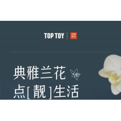 TOP TOY TC1101 1101 non  PHONG LAN TAO NHÃ tỷ lệ 1:1 bộ đồ chơi xếp lắp ráp ghép mô hình Creator Sáng Tạo