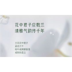 TOP TOY TC1101 1101 non  PHONG LAN TAO NHÃ tỷ lệ 1:1 bộ đồ chơi xếp lắp ráp ghép mô hình Creator Sáng Tạo