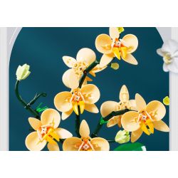 TOP TOY TC1101 1101 non  PHONG LAN TAO NHÃ tỷ lệ 1:1 bộ đồ chơi xếp lắp ráp ghép mô hình Creator Sáng Tạo