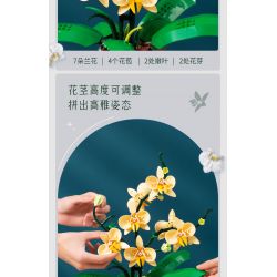 TOP TOY TC1101 1101 non  PHONG LAN TAO NHÃ tỷ lệ 1:1 bộ đồ chơi xếp lắp ráp ghép mô hình Creator Sáng Tạo