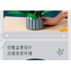 TOP TOY TC1101 1101 non  PHONG LAN TAO NHÃ tỷ lệ 1:1 bộ đồ chơi xếp lắp ráp ghép mô hình Creator Sáng Tạo