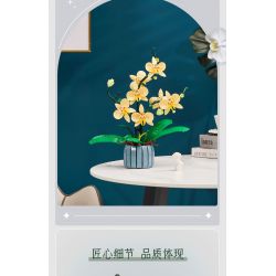 TOP TOY TC1101 1101 non  PHONG LAN TAO NHÃ tỷ lệ 1:1 bộ đồ chơi xếp lắp ráp ghép mô hình Creator Sáng Tạo