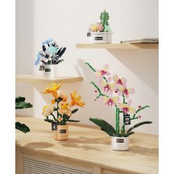 TAKUKI T6003 6003 non  TIỆC SÂN VƯỜN HOÀNG HÔN LILY bộ đồ chơi xếp lắp ráp ghép mô hình 319 khối