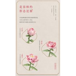 BLOKS 86131 86134 non  TÌNH YÊU HOA MẪU ĐƠN bộ đồ chơi xếp lắp ráp ghép mô hình 666 khối