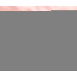 TOP TOY 60027 non  HOA ANH ĐÀO bộ đồ chơi xếp lắp ráp ghép mô hình City CHERRY BLOSSOMS Thành Phố 1019 khối