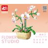 FAIR 9103 non  LAN HỒ ĐIỆP bộ đồ chơi xếp lắp ráp ghép mô hình Flowers BUTTERFLY ORCHID Hoa 550 khối