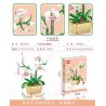 FAIR 9103 non  LAN HỒ ĐIỆP bộ đồ chơi xếp lắp ráp ghép mô hình Flowers BUTTERFLY ORCHID Hoa 550 khối