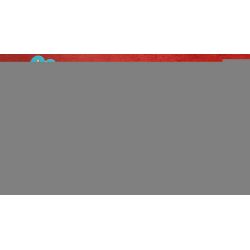 PanlosBrick 610012 Panlos Brick 610012 non  NGÔI NHÀ BẠC MAY MẮN bộ đồ chơi xếp lắp ráp ghép mô hình Chinatown THE CULTURE OF CHINA Khu Phố Tàu 2551 khối