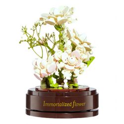 TOP TOY JP61006 61006 non  ATHENS THƠM bộ đồ chơi xếp lắp ráp ghép mô hình