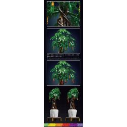 MouldKing 10063 10063S Mould King 10063 10063S non  THẾ GIỚI HOA CÂY TIỀN bộ đồ chơi xếp lắp ráp ghép mô hình Creator MONEY TREE Sáng Tạo 815 khối