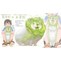 MR.KURIOSITY 12601 non  CON CHÓ BẮP CẢI bộ đồ chơi xếp lắp ráp ghép mô hình CHINESE CABBAGE DOG
