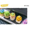 FEMIBOX S2201 2201 non  CHỮA LÀNH MỌNG NƯỚC 12 LOẠI bộ đồ chơi xếp lắp ráp ghép mô hình Flowers PLANTS SUCCULENT Hoa 1095 khối