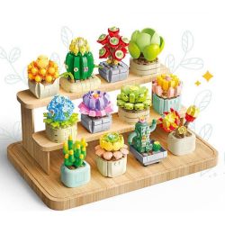 FEMIBOX S2201 2201 non  CHỮA LÀNH MỌNG NƯỚC 12 LOẠI bộ đồ chơi xếp lắp ráp ghép mô hình Flowers PLANTS SUCCULENT Hoa 1095 khối