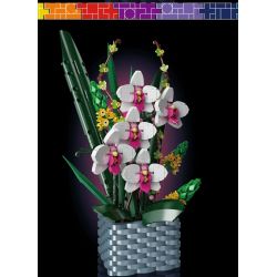 MouldKing 10025 Mould King 10025 non  MÃI BÊN NHAU · LAN HỒ ĐIỆP bộ đồ chơi xếp lắp ráp ghép mô hình Flowers FLOWER WORLD ETERNAL BUTTERFLY Hoa 1158 khối