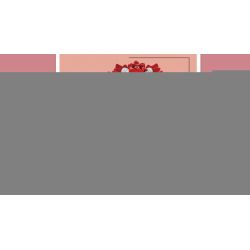 MouldKing 24010 Mould King 24010 non  HOA CẨM CHƯỚNG bộ đồ chơi xếp lắp ráp ghép mô hình Flowers FLOWER WORLD CARNATION 116 khối