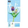 Decool 52035 52036 Jisi 52035 52036 non  WORKSHOP HOA TULIP PHIÊN BẢN NGỌC TRAI TRONG SUỐT bộ đồ chơi xếp lắp ráp ghép mô hình Flowers FLOWERART STUDIO