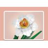 MouldKing 24008 Mould King 24008 non  HOA THUỶ TIÊN VÀNG bộ đồ chơi xếp lắp ráp ghép mô hình Flowers FLOWER WORLD NARCISSUS 122 khối