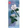 MouldKing 24007 Mould King 24007 non  HOA TRÀ bộ đồ chơi xếp lắp ráp ghép mô hình Flowers FLOWER WORLD CAMELLIA 127 khối