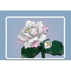 MouldKing 24007 Mould King 24007 non  HOA TRÀ bộ đồ chơi xếp lắp ráp ghép mô hình Flowers FLOWER WORLD CAMELLIA 127 khối
