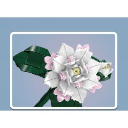 MouldKing 24007 Mould King 24007 non  HOA TRÀ bộ đồ chơi xếp lắp ráp ghép mô hình Flowers FLOWER WORLD CAMELLIA 127 khối