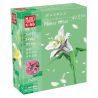 MouldKing 24001 Mould King 24001 non  HOA LOA KÈN bộ đồ chơi xếp lắp ráp ghép mô hình Flowers FLOWER WORLD LILY 178 khối