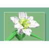 MouldKing 24001 Mould King 24001 non  HOA LOA KÈN bộ đồ chơi xếp lắp ráp ghép mô hình Flowers FLOWER WORLD LILY 178 khối