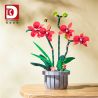 DK 3007 non  LAN HỒ ĐIỆP HỒNG bộ đồ chơi xếp lắp ráp ghép mô hình Flowers PINK ORCHID Hoa 698 khối