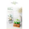 XIANG JUN 10974 non  SHOP HOA CÂY CẢNH 6 LOẠI CHẬU MỌNG NƯỚC BAIRENJIN DAIZIXIN XINGDOUDOU LANBINGYU AZURE MOON BEGONIA bộ đồ chơi xếp lắp ráp ghép mô hình Creator Sáng Tạo