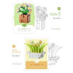 XIANG JUN 10974 non  SHOP HOA CÂY CẢNH 6 LOẠI CHẬU MỌNG NƯỚC BAIRENJIN DAIZIXIN XINGDOUDOU LANBINGYU AZURE MOON BEGONIA bộ đồ chơi xếp lắp ráp ghép mô hình Creator Sáng Tạo