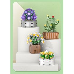 XIANG JUN 10974 non  SHOP HOA CÂY CẢNH 6 LOẠI CHẬU MỌNG NƯỚC BAIRENJIN DAIZIXIN XINGDOUDOU LANBINGYU AZURE MOON BEGONIA bộ đồ chơi xếp lắp ráp ghép mô hình Creator Sáng Tạo