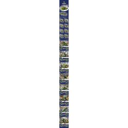 JP 68006 non  MÁY BAY TRỰC THĂNG VŨ TRANG HẠNG NẶNG CỦA VƯƠNG QUỐC 8 TỔ HỢP XE TĂNG X-1 CHỈ HUY CƠ ĐỘNG CHIẾN ĐẤU PHOENIX TÀU TOMCAT NGẦM CHẠY BẰNG NĂNG LƯỢNG HẠT NHÂN CÁNH DELTA ĐỔ BỘ BÃI BIỂN PHÁO CÔNG SUẤT CAO bộ đồ chơi xếp lắp ráp ghép mô hình Military Army PEACE Quân Sự Bộ Đội 791 khối