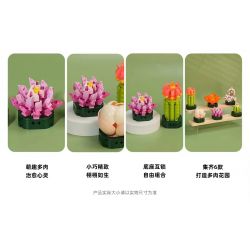 JAKI JK2728 2728 non  CÂY GỖ MỌNG NƯỚC 6 LOẠI VŨ ĐIỆU HOÀNG HÔN ĐÀO TRỨNG XƯƠNG RỒNG HỔ PHÁCH VÀNG MẪU ĐƠN TÍM bộ đồ chơi xếp lắp ráp ghép mô hình Flowers PLANTE Hoa