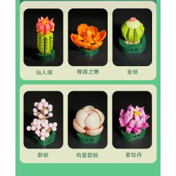JAKI JK2728 2728 non  CÂY GỖ MỌNG NƯỚC 6 LOẠI VŨ ĐIỆU HOÀNG HÔN ĐÀO TRỨNG XƯƠNG RỒNG HỔ PHÁCH VÀNG MẪU ĐƠN TÍM bộ đồ chơi xếp lắp ráp ghép mô hình Flowers PLANTE Hoa