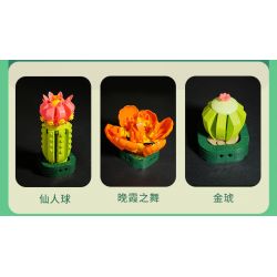 JAKI JK2728 2728 non  CÂY GỖ MỌNG NƯỚC 6 LOẠI VŨ ĐIỆU HOÀNG HÔN ĐÀO TRỨNG XƯƠNG RỒNG HỔ PHÁCH VÀNG MẪU ĐƠN TÍM bộ đồ chơi xếp lắp ráp ghép mô hình Flowers PLANTE Hoa