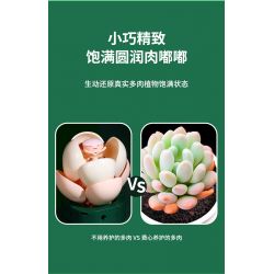 JAKI JK2728 2728 non  CÂY GỖ MỌNG NƯỚC 6 LOẠI VŨ ĐIỆU HOÀNG HÔN ĐÀO TRỨNG XƯƠNG RỒNG HỔ PHÁCH VÀNG MẪU ĐƠN TÍM bộ đồ chơi xếp lắp ráp ghép mô hình Flowers PLANTE Hoa