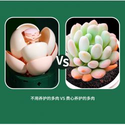 JAKI JK2728 2728 non  CÂY GỖ MỌNG NƯỚC 6 LOẠI VŨ ĐIỆU HOÀNG HÔN ĐÀO TRỨNG XƯƠNG RỒNG HỔ PHÁCH VÀNG MẪU ĐƠN TÍM bộ đồ chơi xếp lắp ráp ghép mô hình Flowers PLANTE Hoa