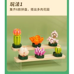 JAKI JK2728 2728 non  CÂY GỖ MỌNG NƯỚC 6 LOẠI VŨ ĐIỆU HOÀNG HÔN ĐÀO TRỨNG XƯƠNG RỒNG HỔ PHÁCH VÀNG MẪU ĐƠN TÍM bộ đồ chơi xếp lắp ráp ghép mô hình Flowers PLANTE Hoa