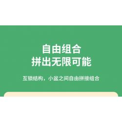 JAKI JK2728 2728 non  CÂY GỖ MỌNG NƯỚC 6 LOẠI VŨ ĐIỆU HOÀNG HÔN ĐÀO TRỨNG XƯƠNG RỒNG HỔ PHÁCH VÀNG MẪU ĐƠN TÍM bộ đồ chơi xếp lắp ráp ghép mô hình Flowers PLANTE Hoa