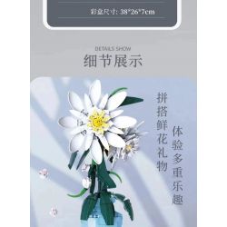 QIZHILE 92034 non  BIỂU MÔ bộ đồ chơi xếp lắp ráp ghép mô hình Flowers EPIPHYLLUM Hoa