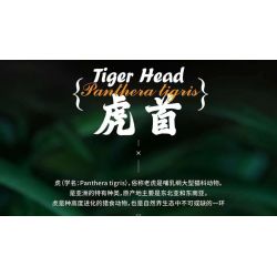 QIZHILE E03000 03000 103000 non  ĐẦU HỔ bộ đồ chơi xếp lắp ráp ghép mô hình Creator Expert TIGER HEAD Chuyên Gia Sáng Tạo
