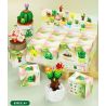 QIZHILE 92015 non  DÒNG MỌNG NƯỚC 12 LOẠI bộ đồ chơi xếp lắp ráp ghép mô hình Creator SUCCULENTS Sáng Tạo