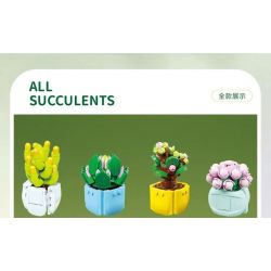 QIZHILE 92015 non  DÒNG MỌNG NƯỚC 12 LOẠI bộ đồ chơi xếp lắp ráp ghép mô hình Creator SUCCULENTS Sáng Tạo