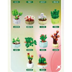 QIZHILE 92015 non  DÒNG MỌNG NƯỚC 12 LOẠI bộ đồ chơi xếp lắp ráp ghép mô hình Creator SUCCULENTS Sáng Tạo